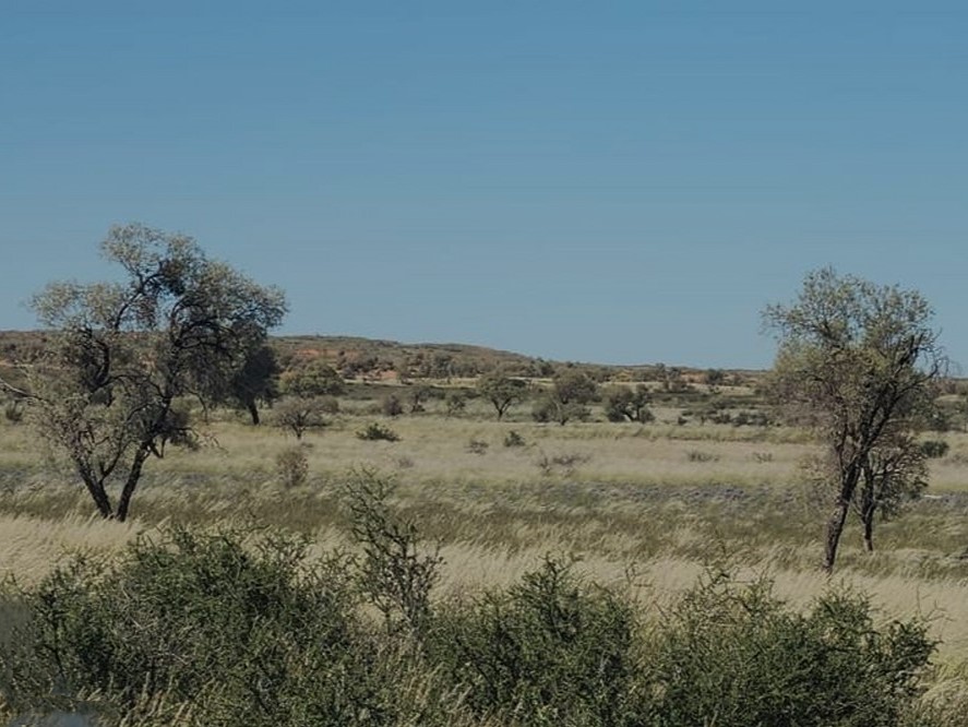 Commercial Property for Sale in Upington Rural Northern Cape